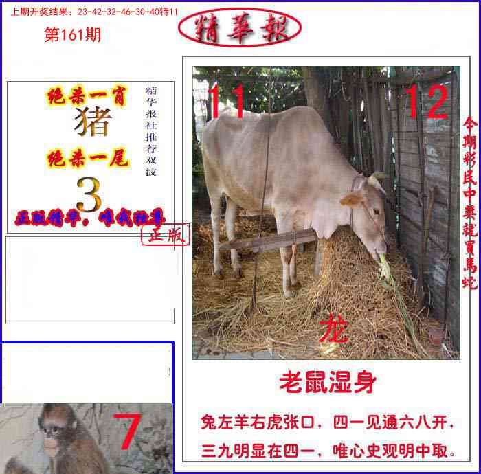 161期新精华报报[图]
