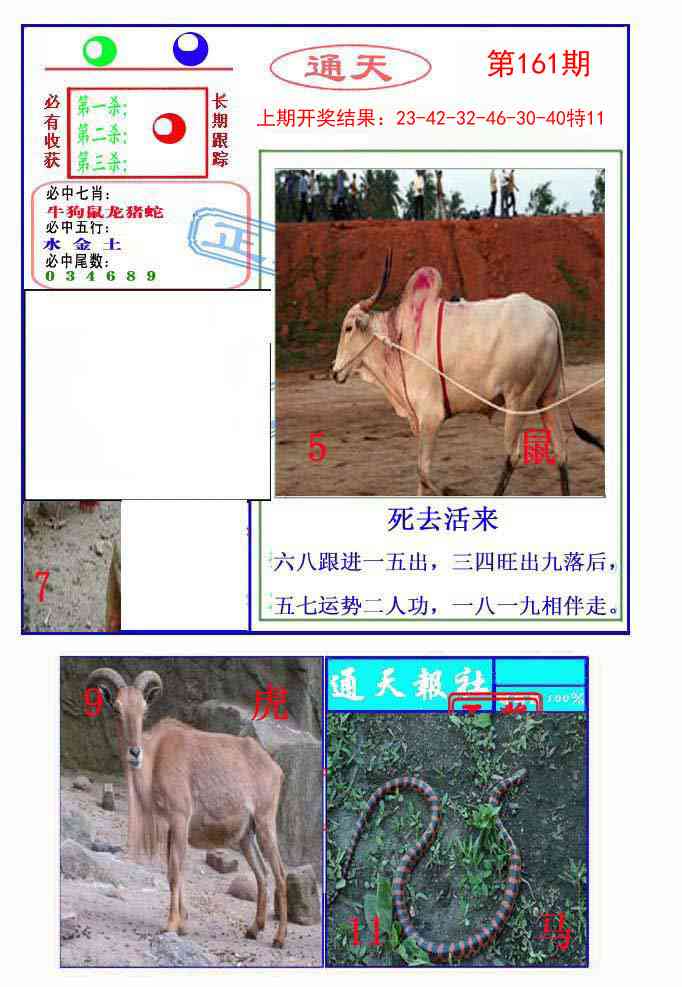 161期通天杀波图2[图]