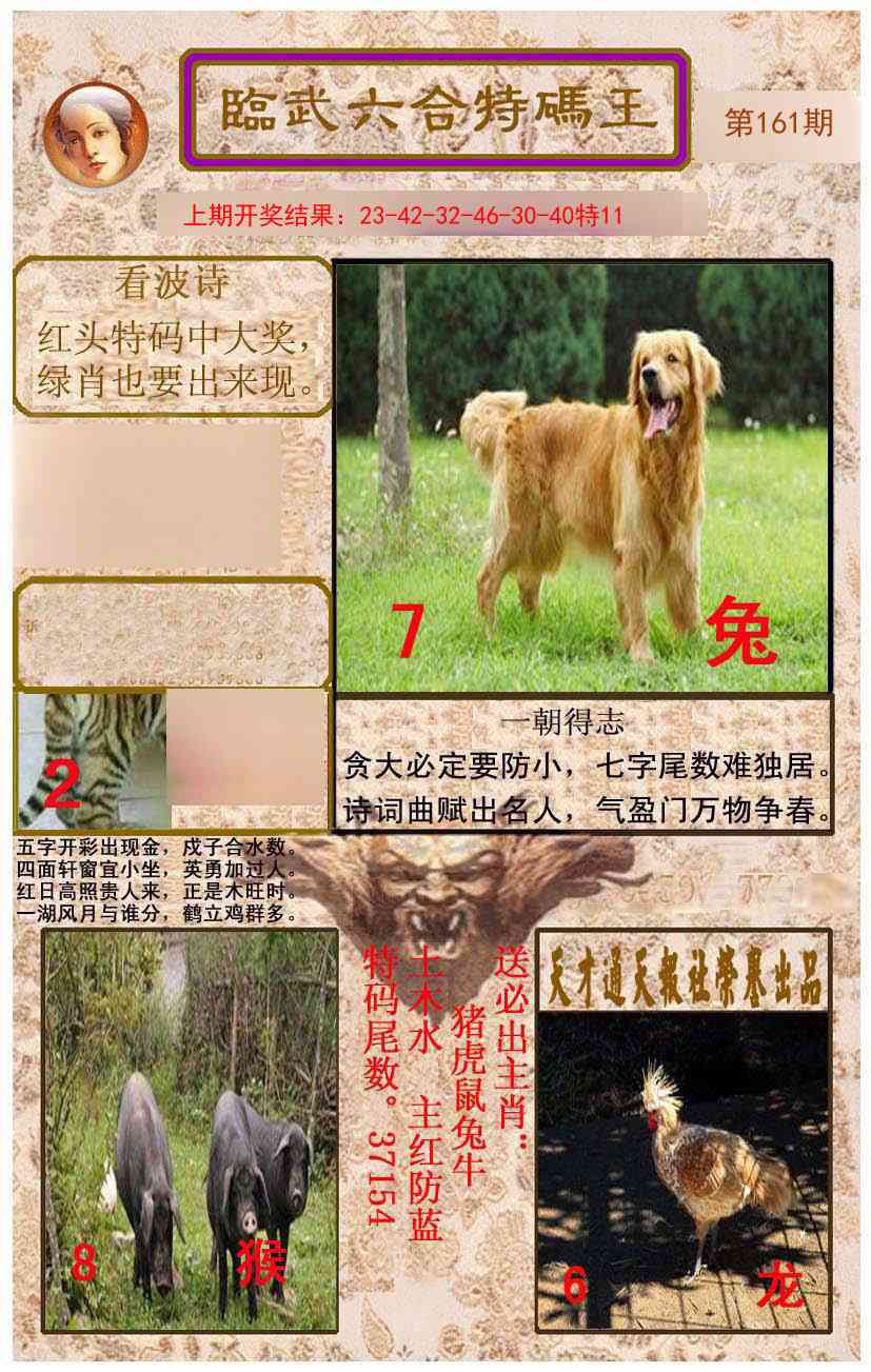 161期临武六合特码王[图]