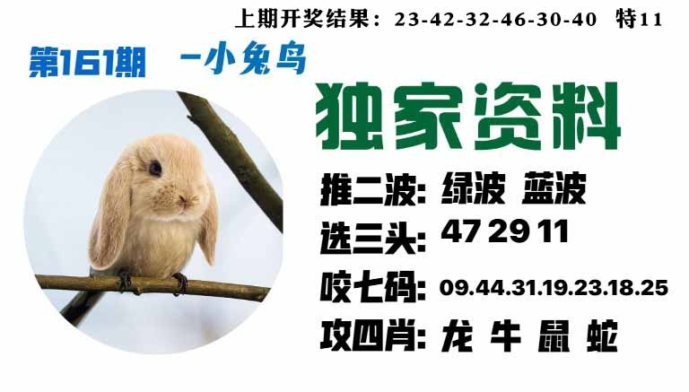 161期小兔鸟[图]