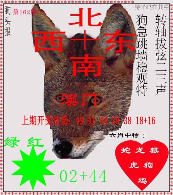 162期狗头报[图]