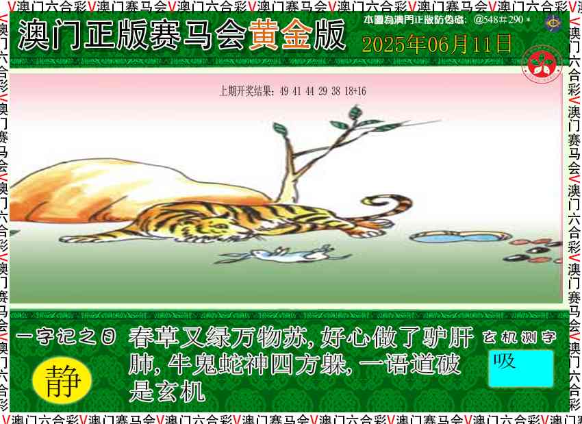 162期赛马会黄金版[图]