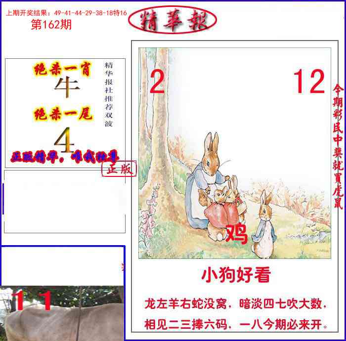 162期新精华报报[图]