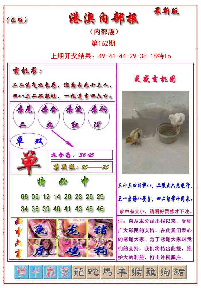 162期港澳报[图]
