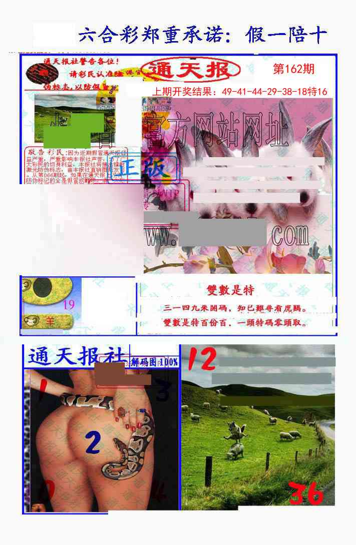 162期假一陪十通天报[图]