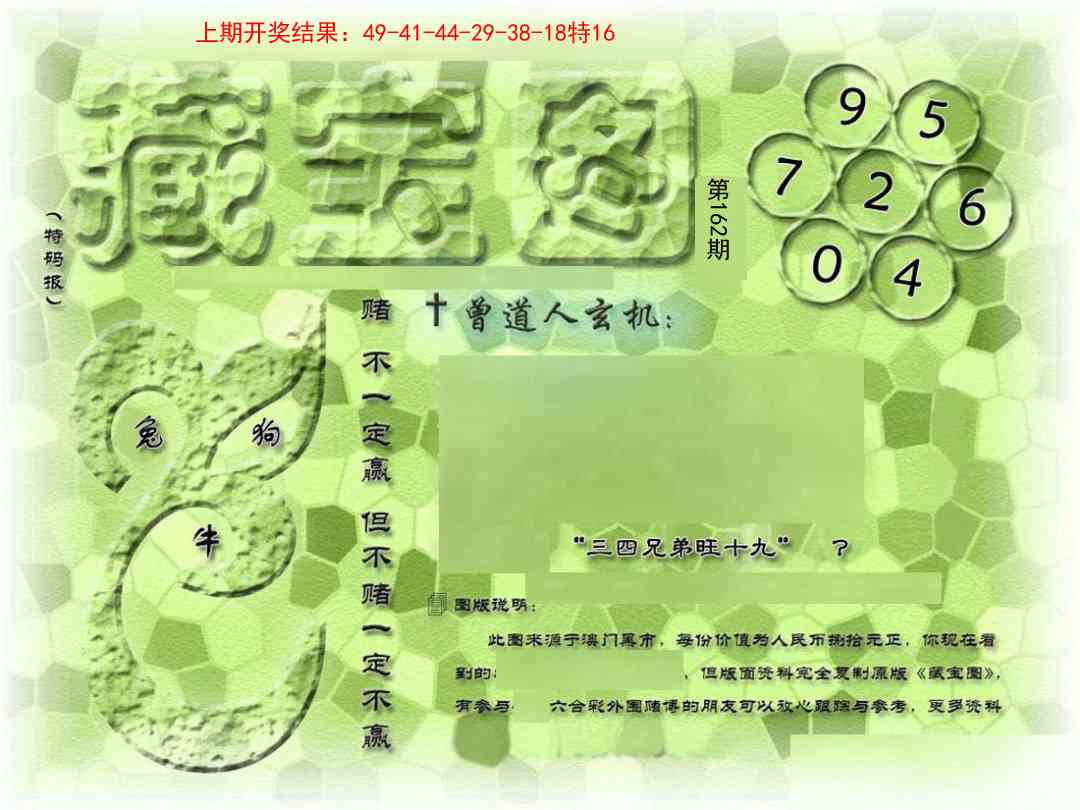 162期假新藏宝图[图]