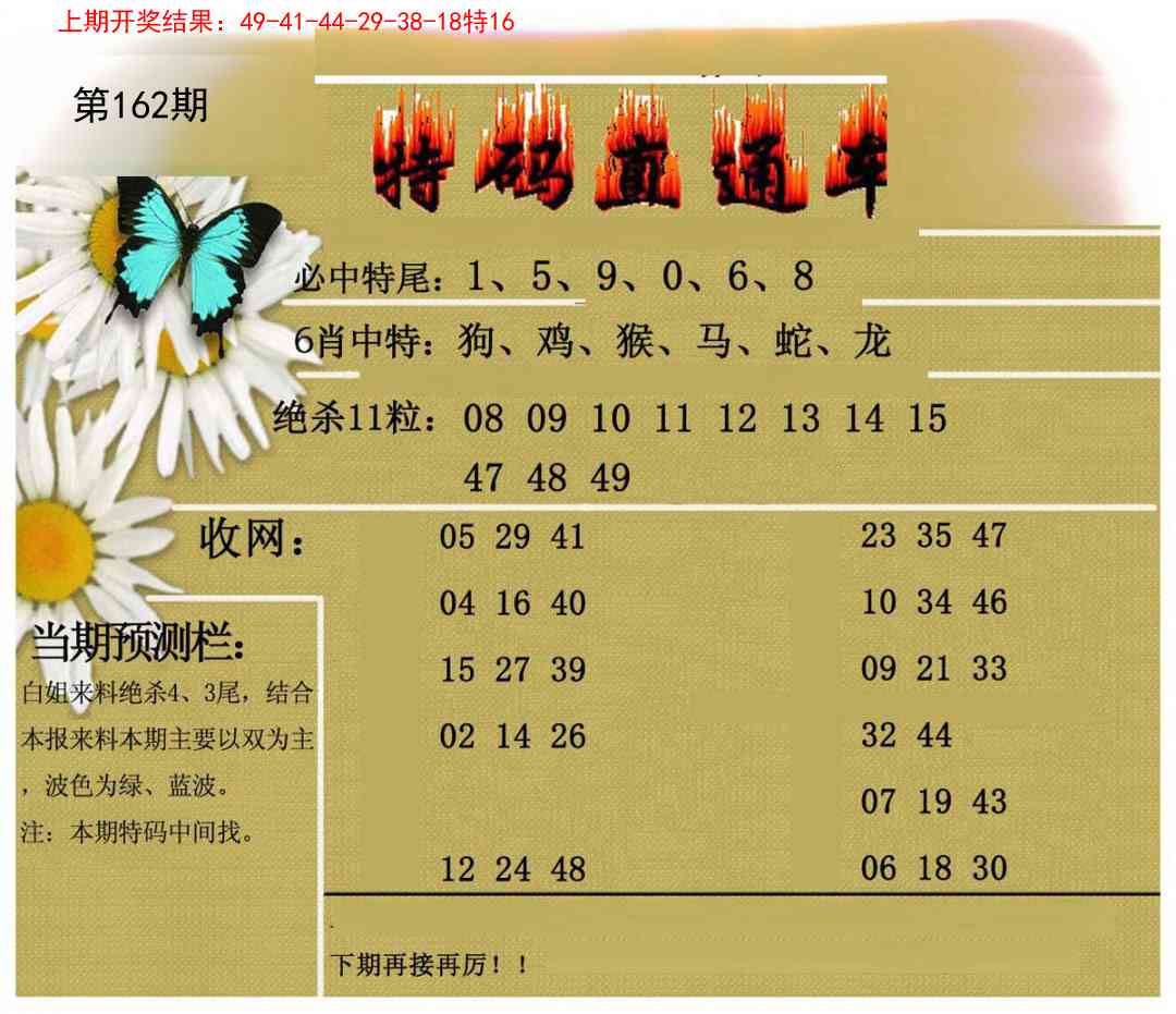 162期特码直通车[图]
