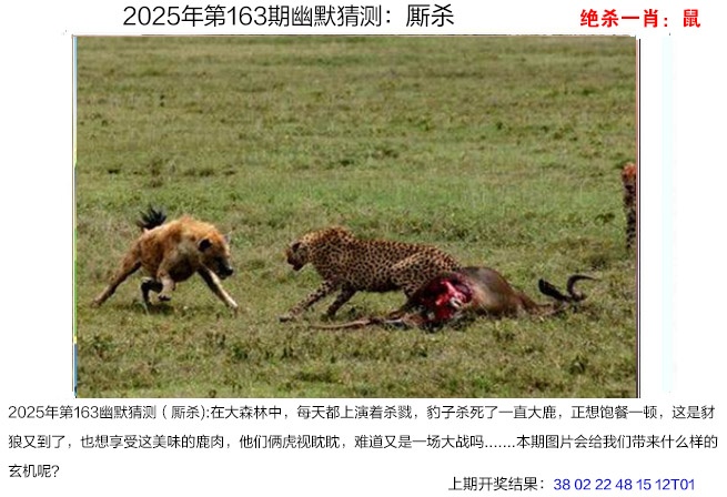 163期幽默猜测[图]