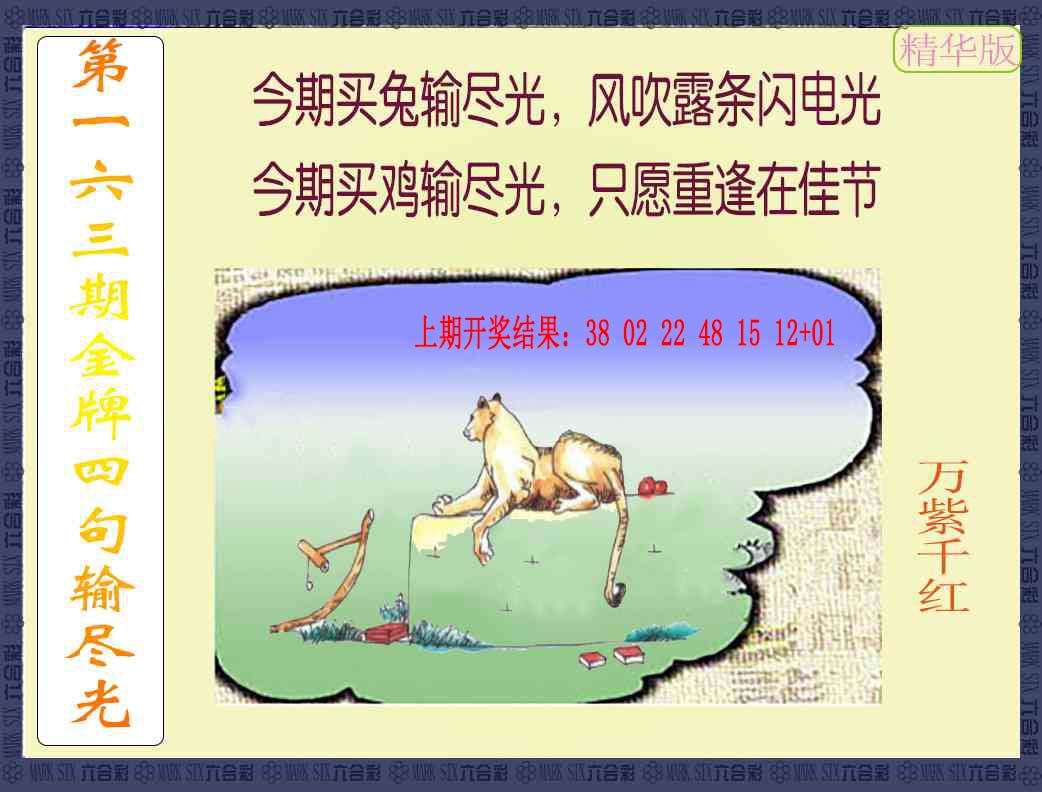 163期金牌四句输尽光[图]