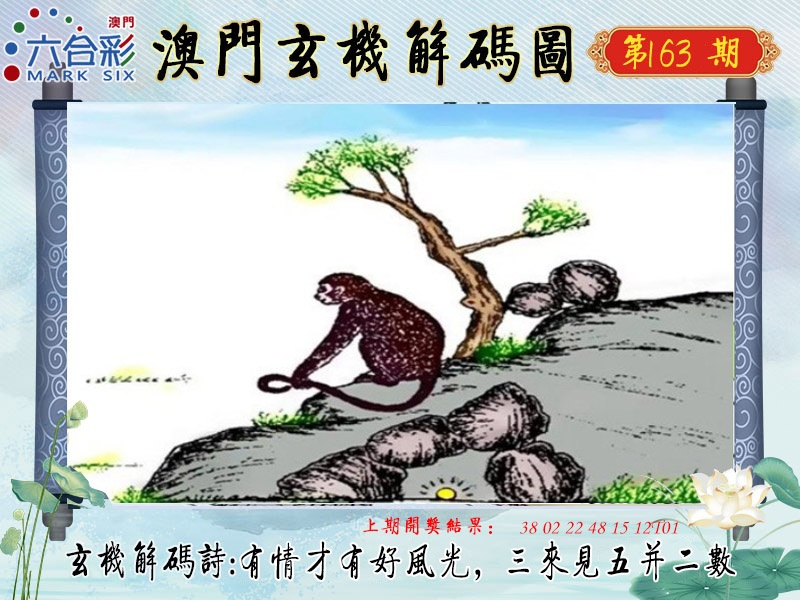 163期玄机解码图[图]