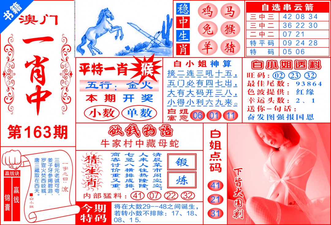 163期澳门锦囊宝典[图]