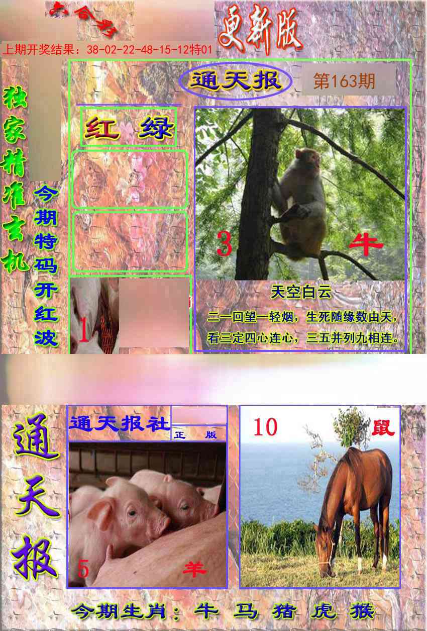 163期新通报[图]