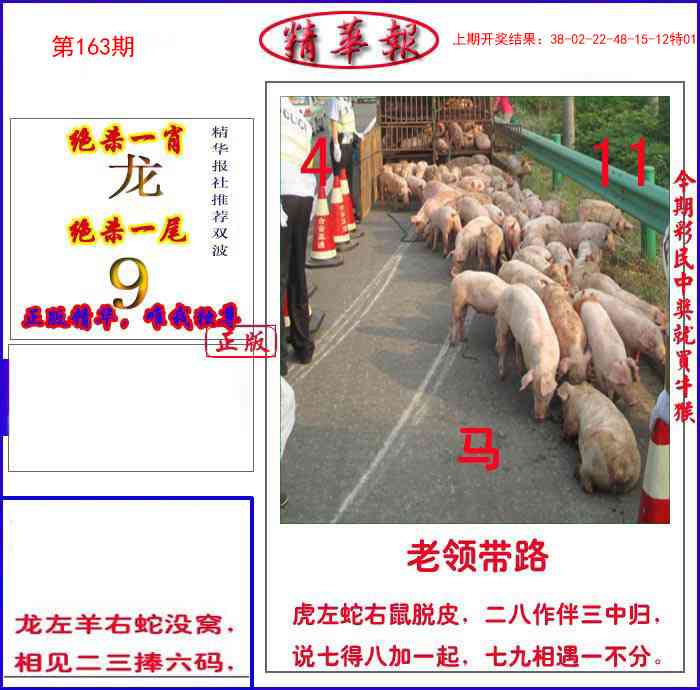 163期新精华报报[图]