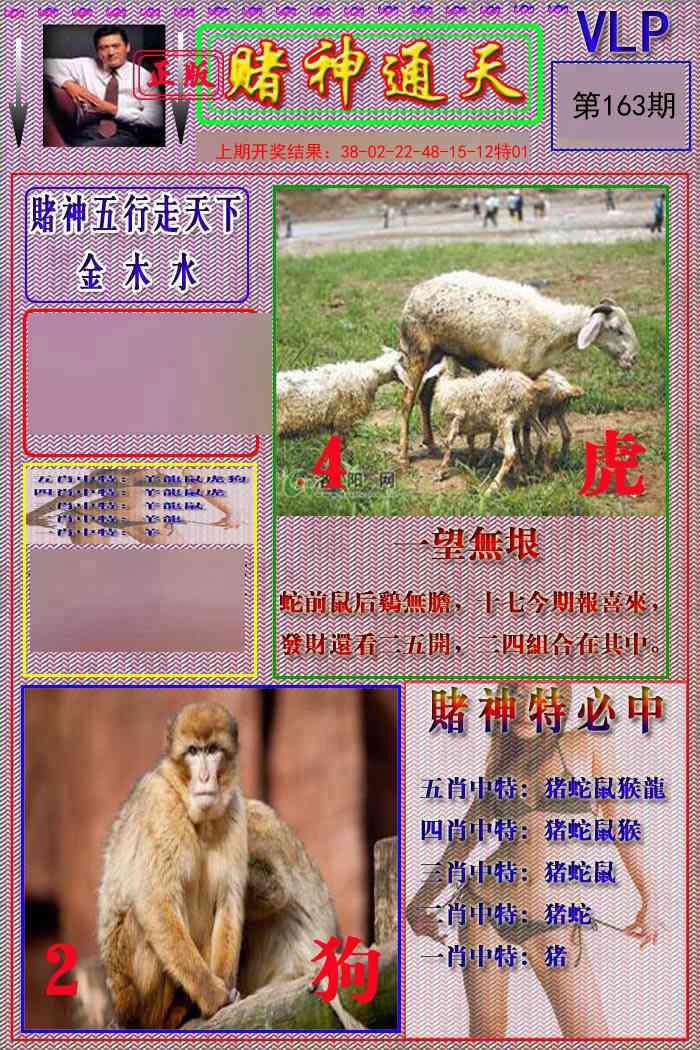163期赌神通天报[图]