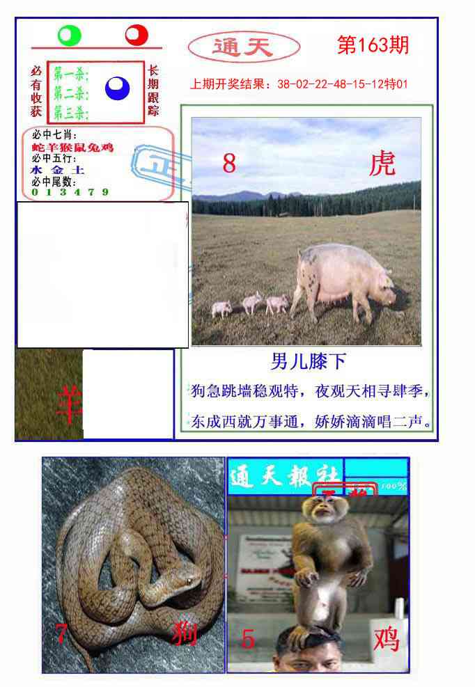 163期通天杀波图2[图]