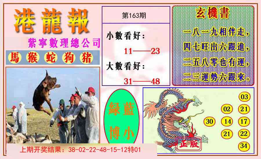 163期港龙报[图]