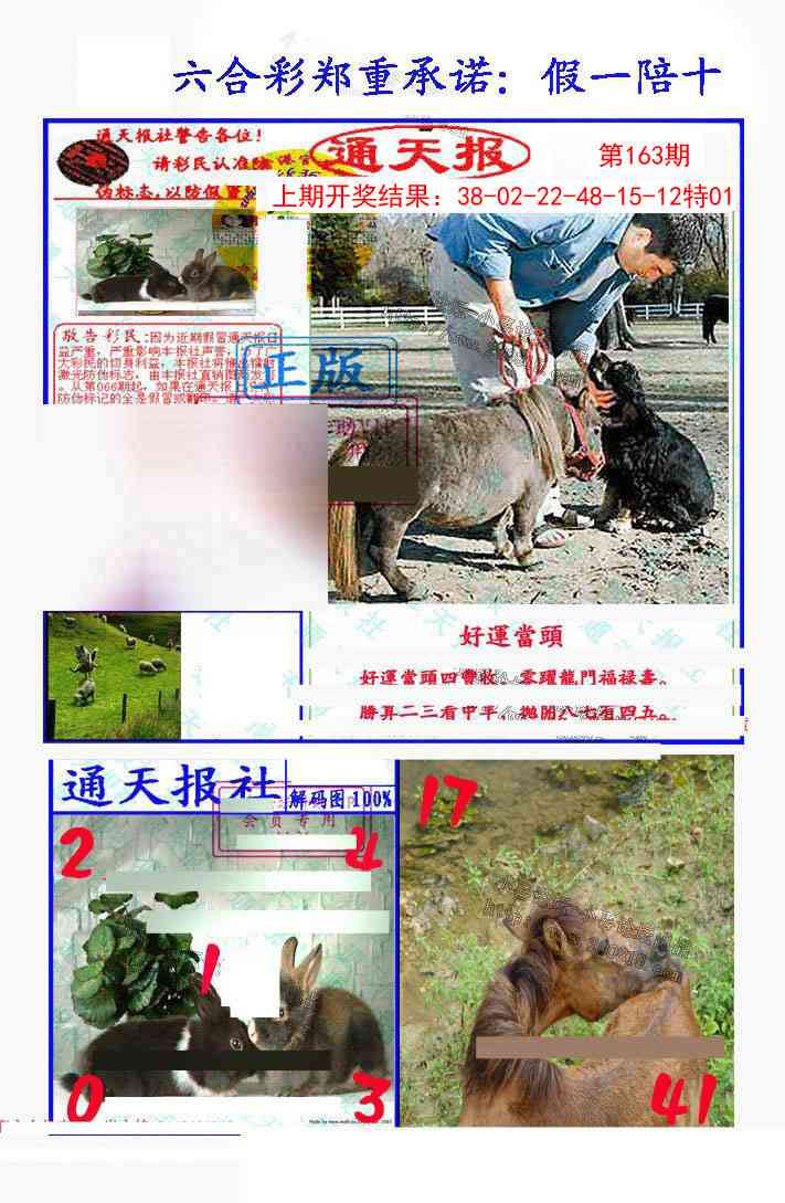 163期假一陪十通天报[图]