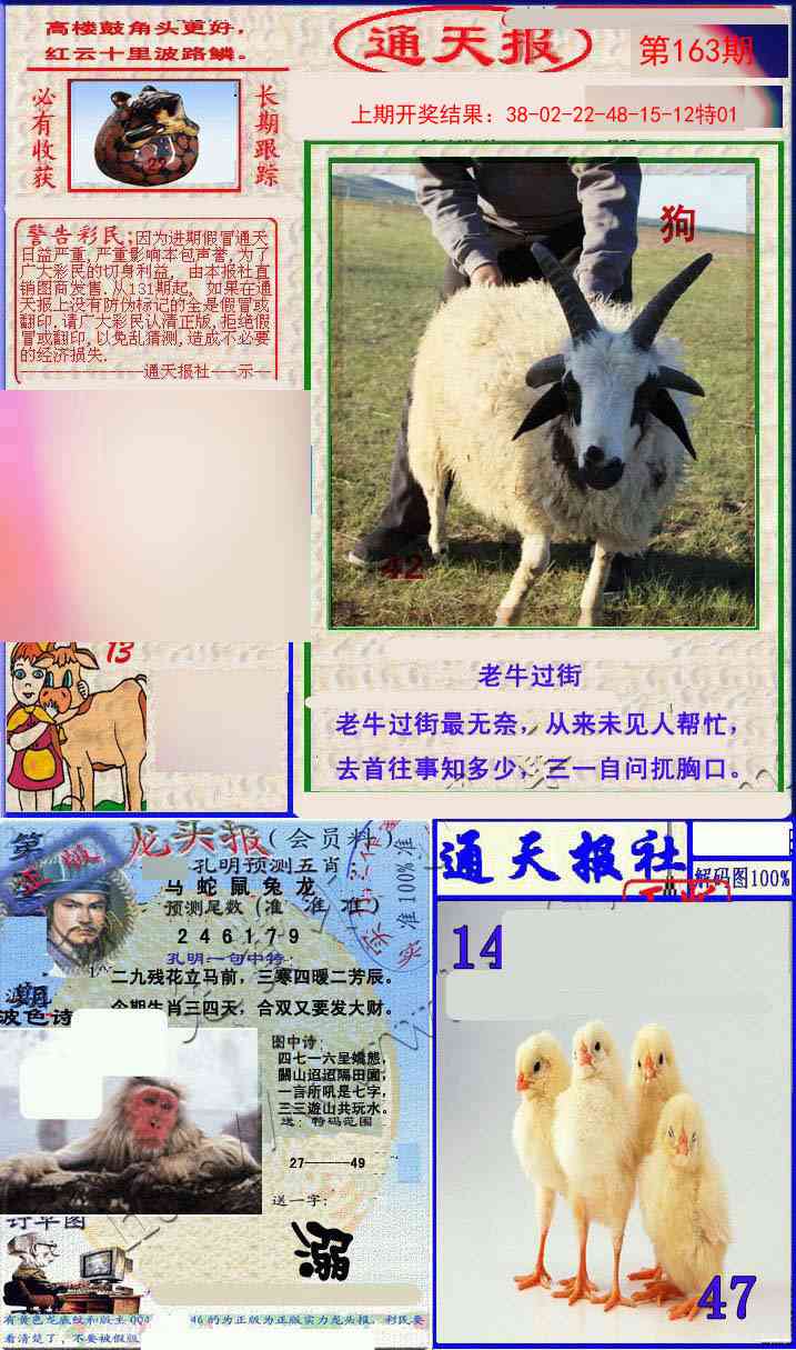 163期实力通天报[图]