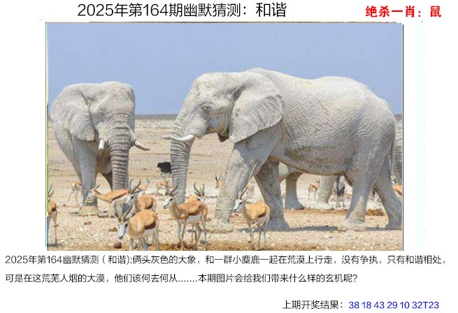 164期幽默猜测[图]