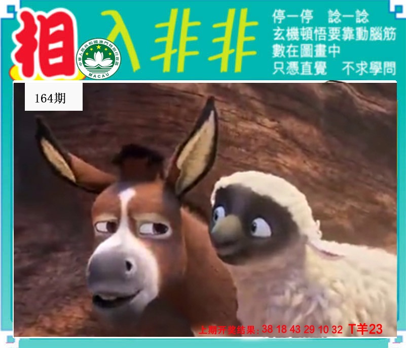 164期相入非非[图]