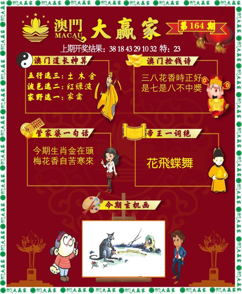 164期大赢家[图]
