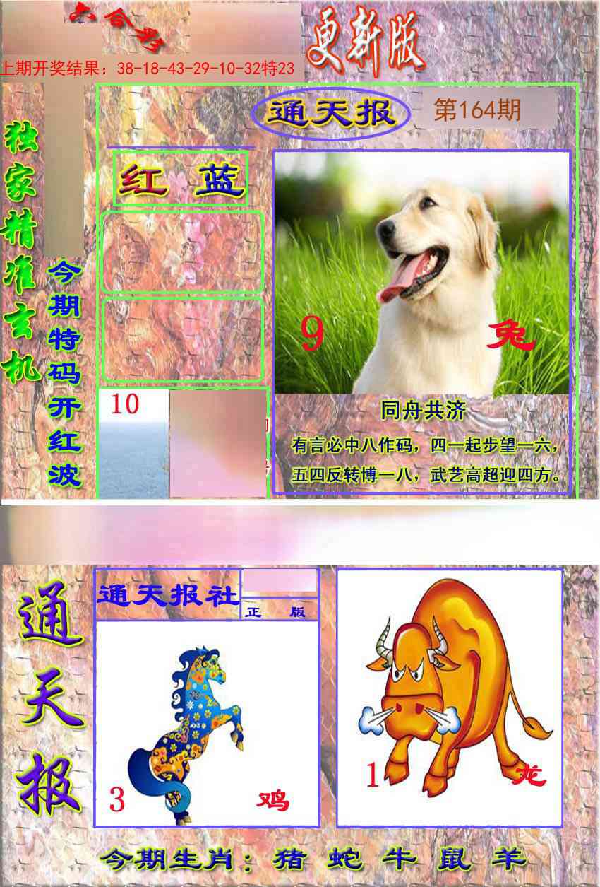 164期新通报[图]