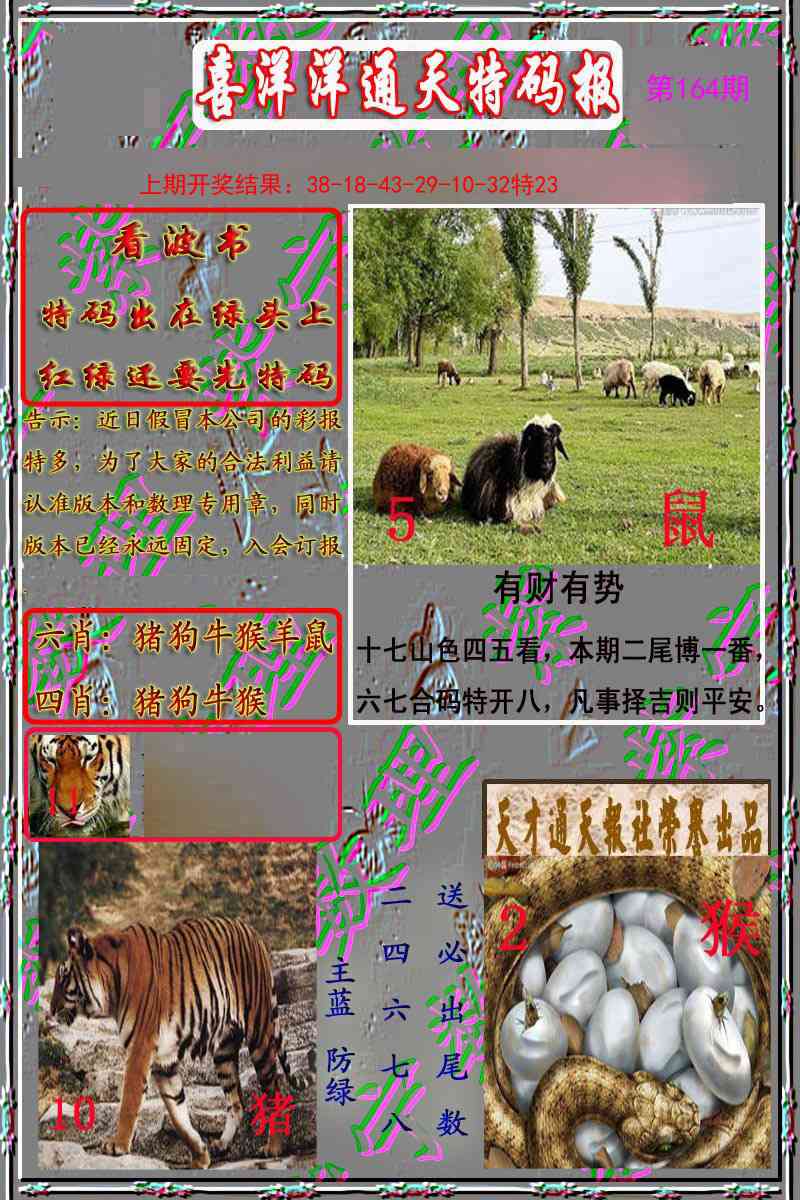 164期洋通报[图]