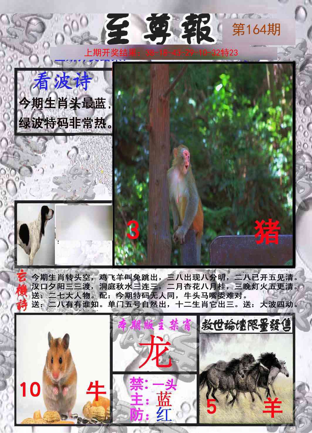 164期至尊报[图]