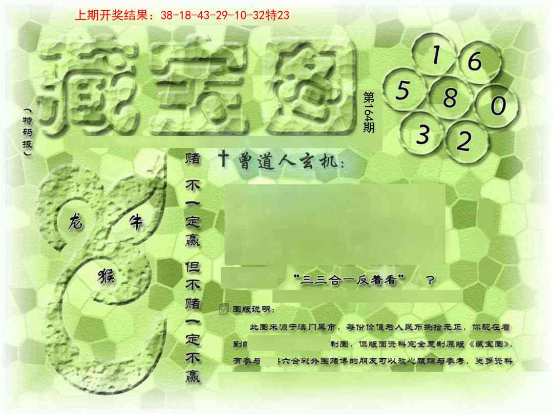 164期假新藏宝图[图]