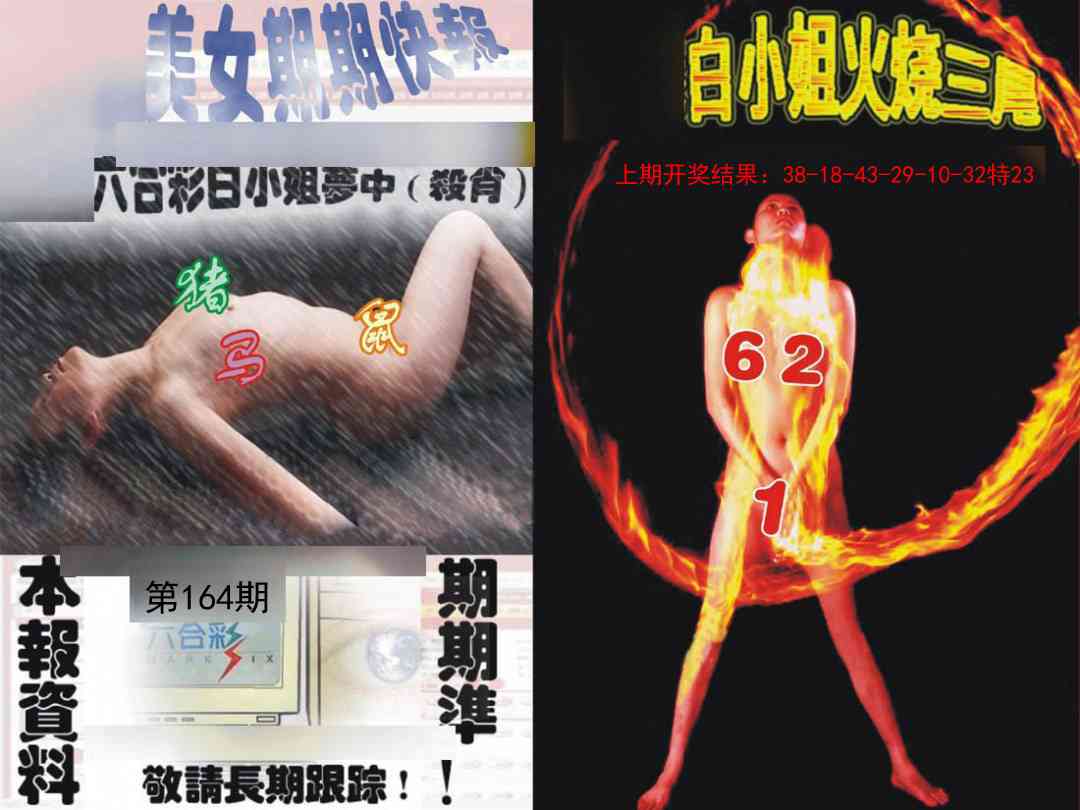 164期环球美女特码报[图]