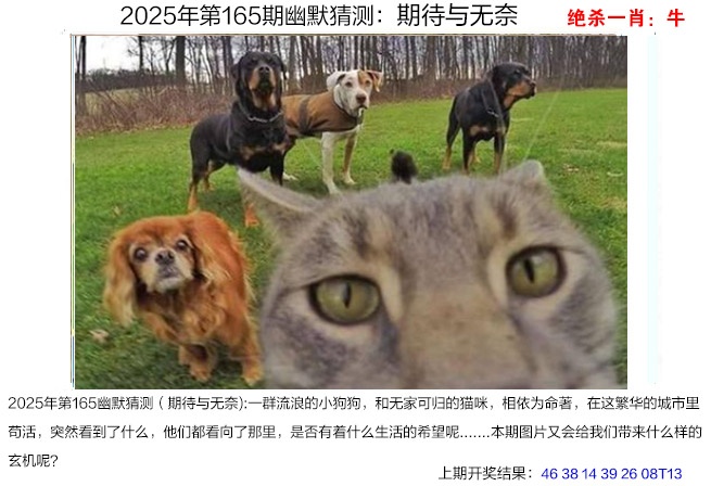 165期幽默猜测[图]