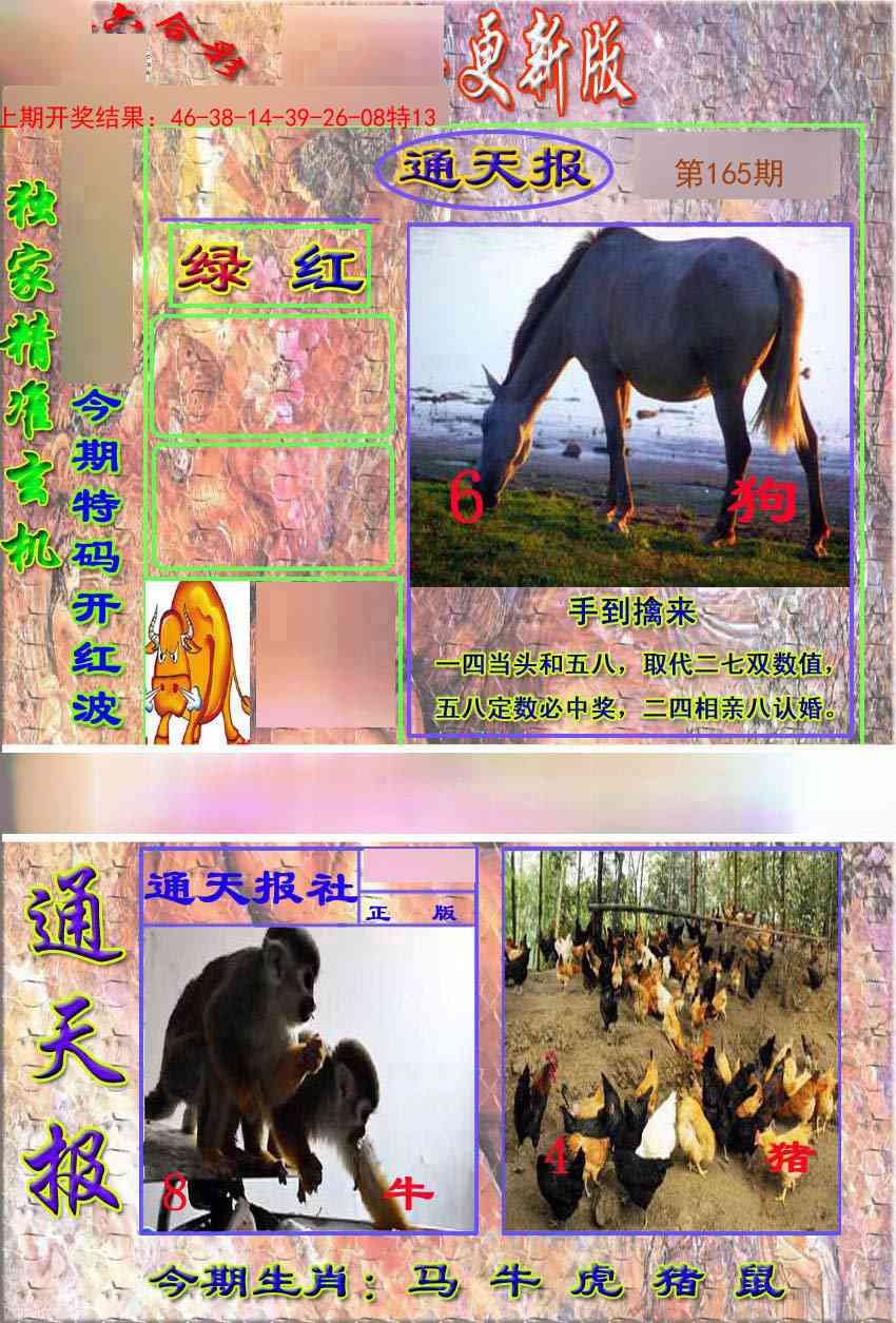 165期新通报[图]