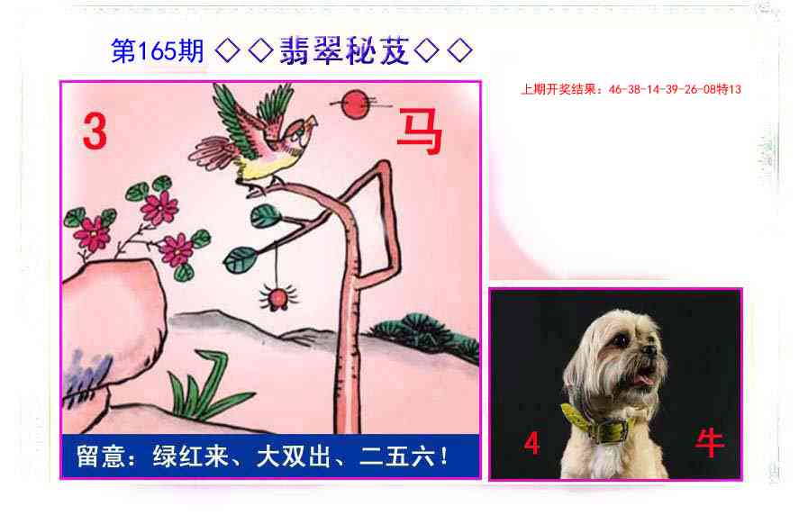 165期翡翠报[图]