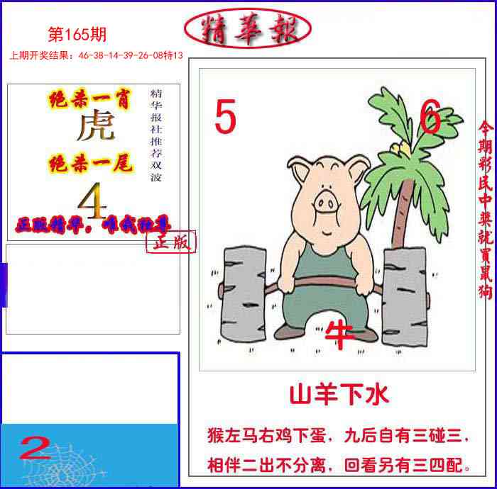 165期新精华报报[图]