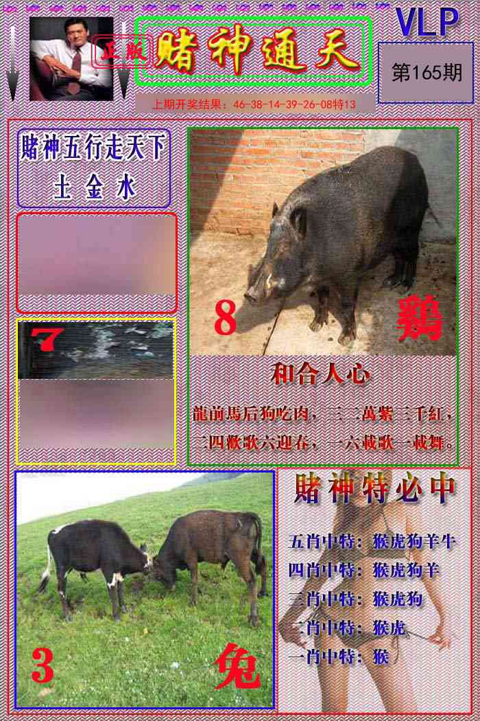 165期赌神通天报[图]