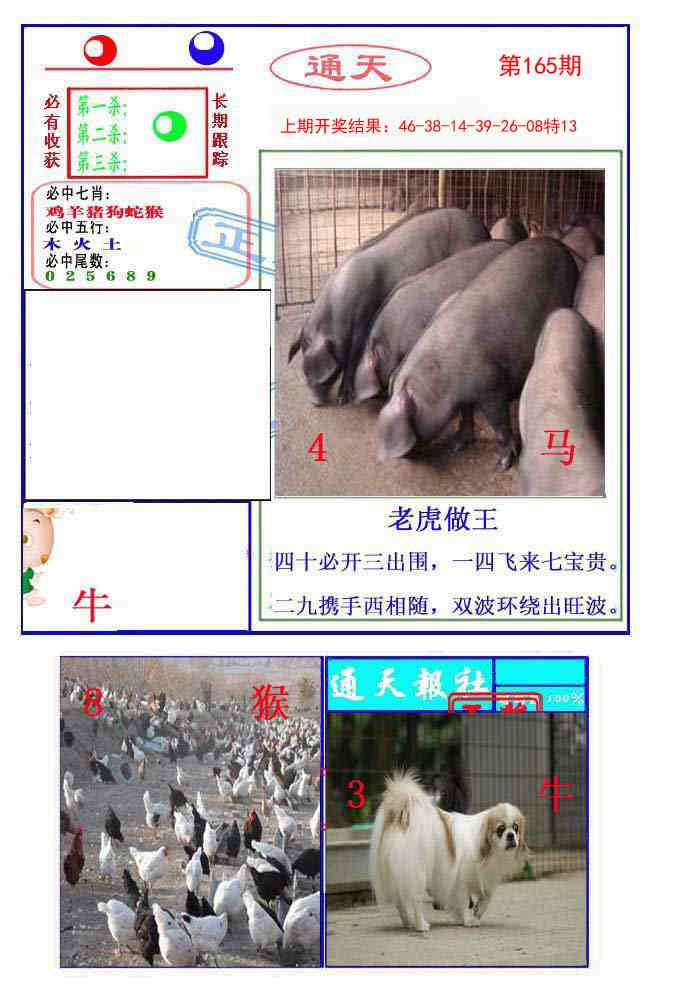 165期通天杀波图2[图]