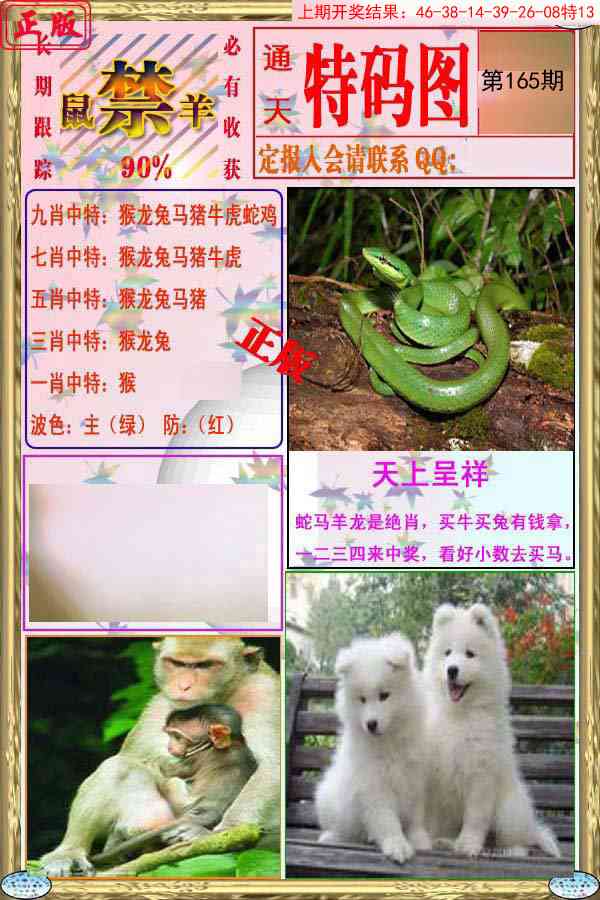 165期特码图[图]