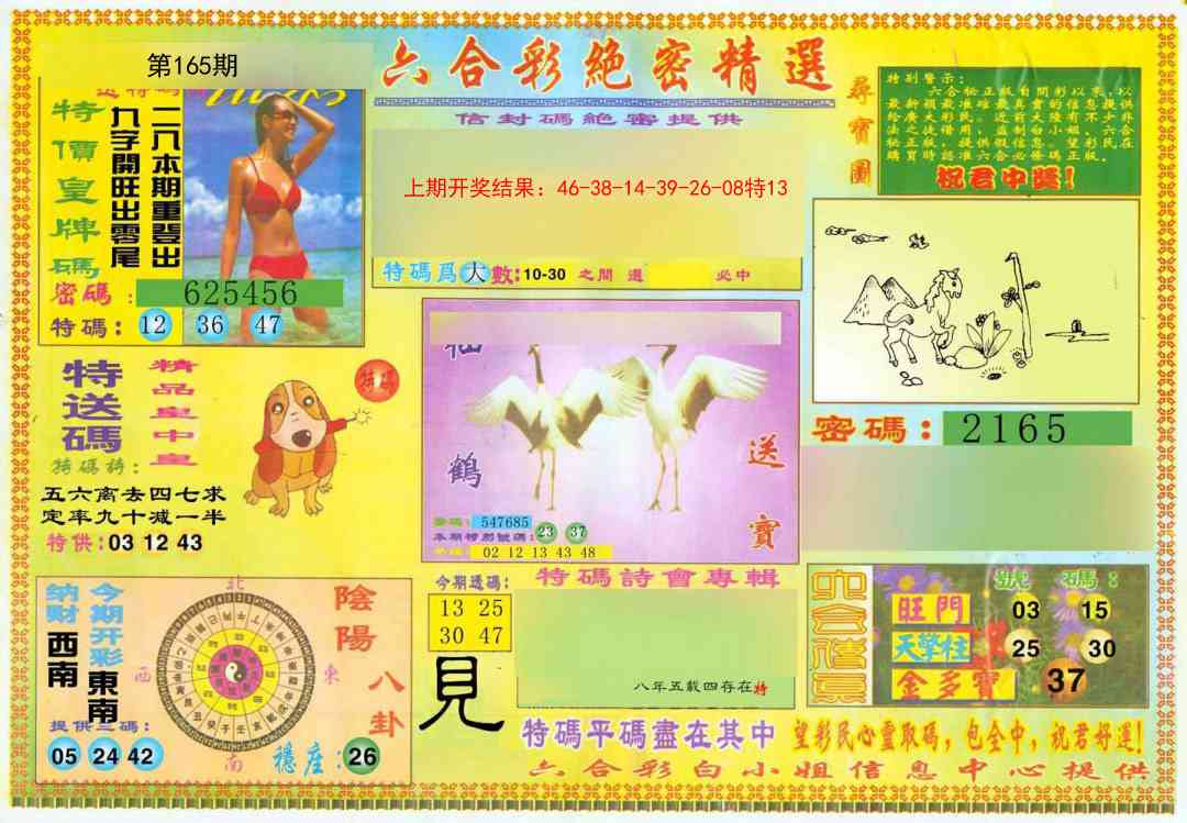 165期绝密精选A[图]