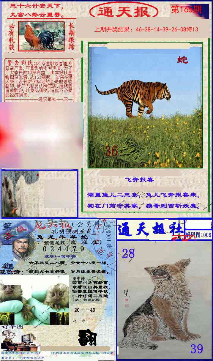 165期实力通天报[图]