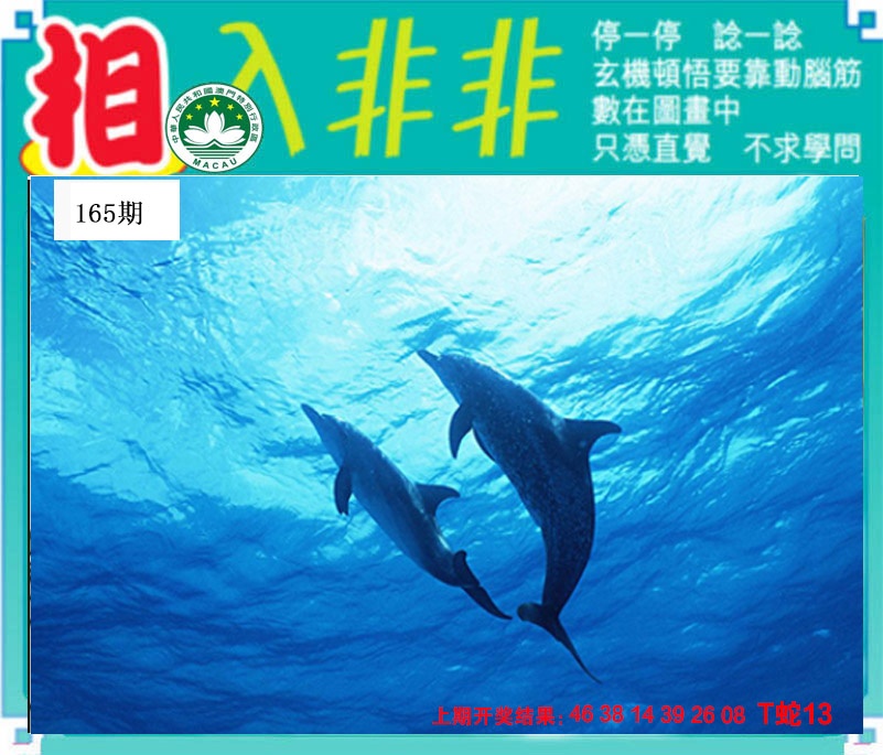 165期相入非非[图]