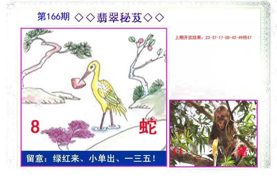 166期翡翠报[图]