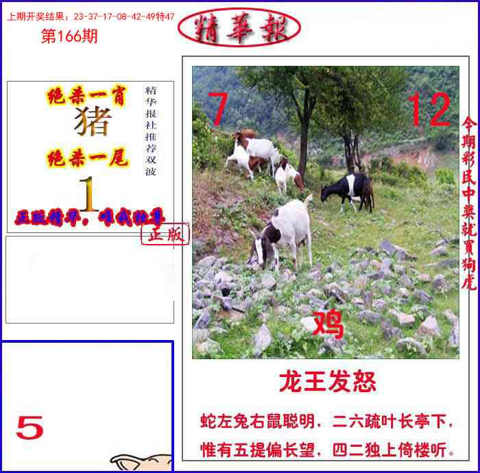 166期新精华报报[图]