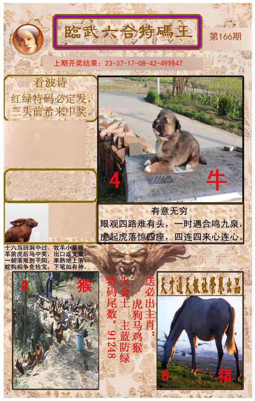 166期临武六合特码王[图]