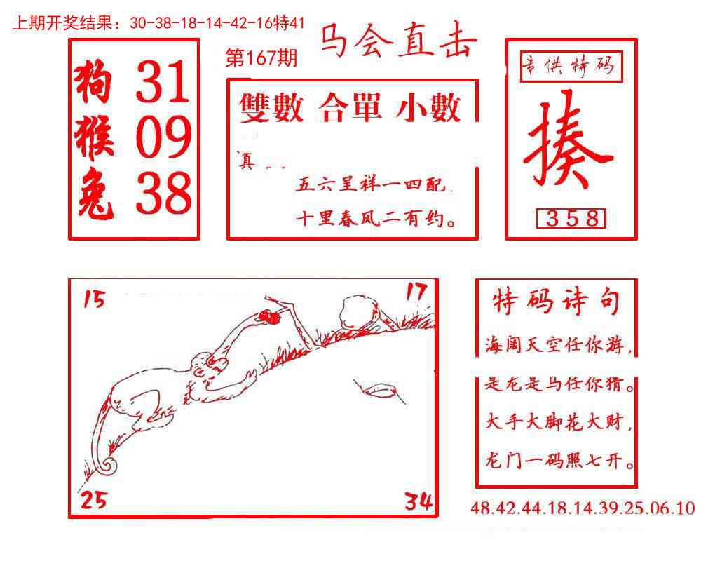 167期马会直击[图]
