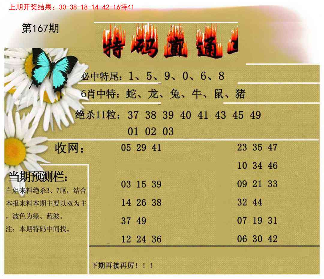 167期特码直通车[图]