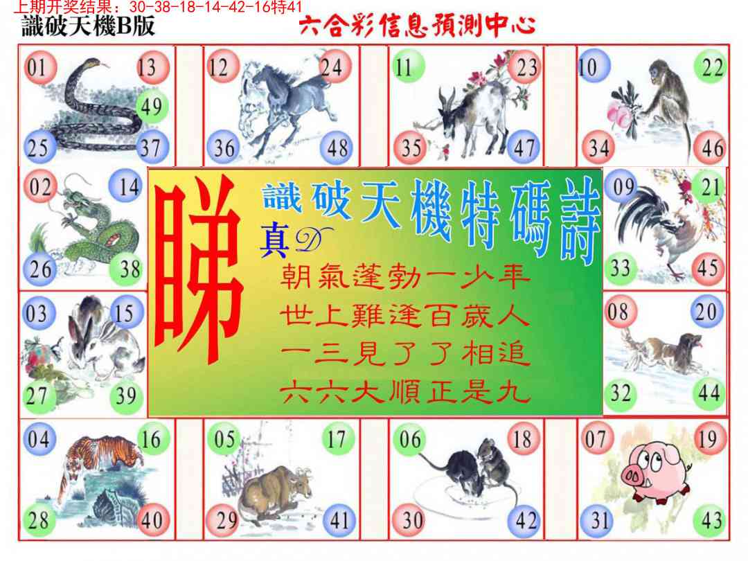 167期识破天机B版[图]