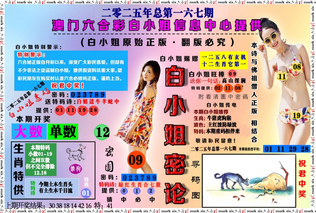 167期白小姐密论[图]