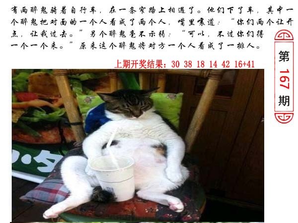 167期澳门生活幽默[图]
