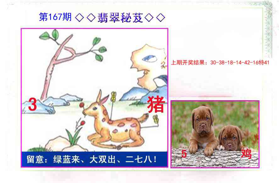 167期翡翠报[图]