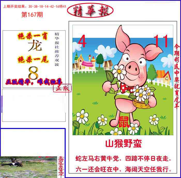 167期新精华报报[图]